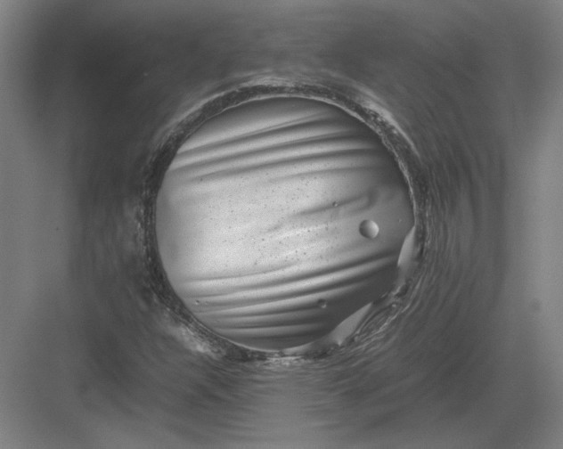 X0000082991304200702160013