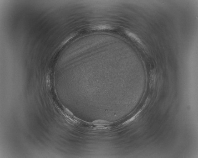 X0000082991305200702160013