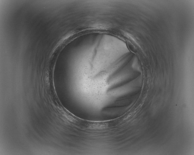 X0000082991307200702160013