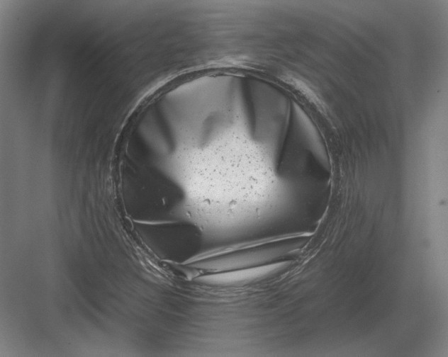 X0000082991308200702160013