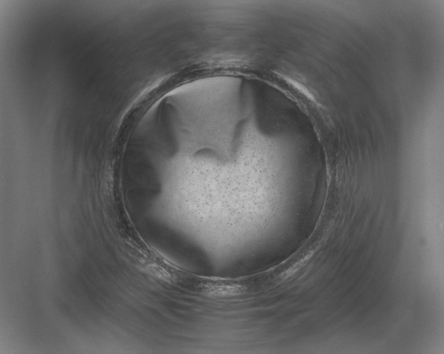 X0000082991309200702160013