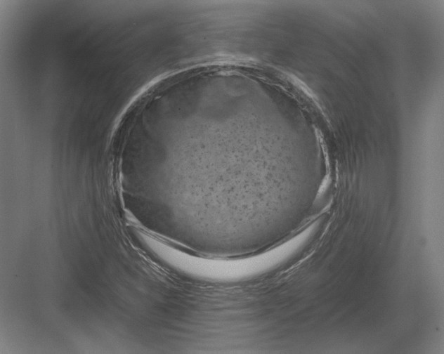 X0000082991310200702160013