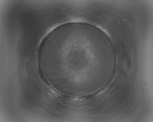 X0000082991311200702160013