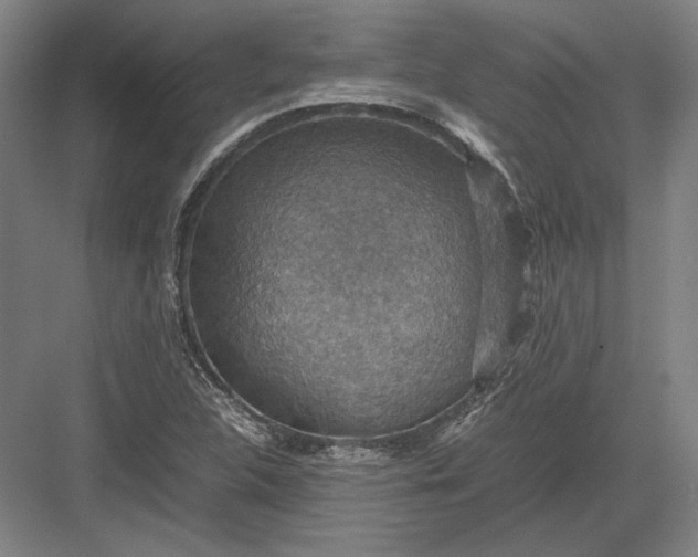 X0000082991312200702160013