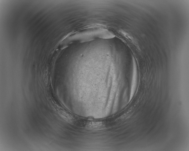 X0000082991313200702160013