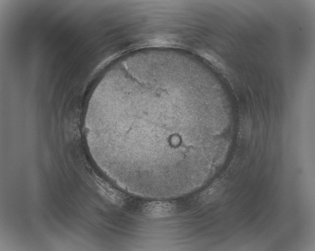 X0000082991314200702160013