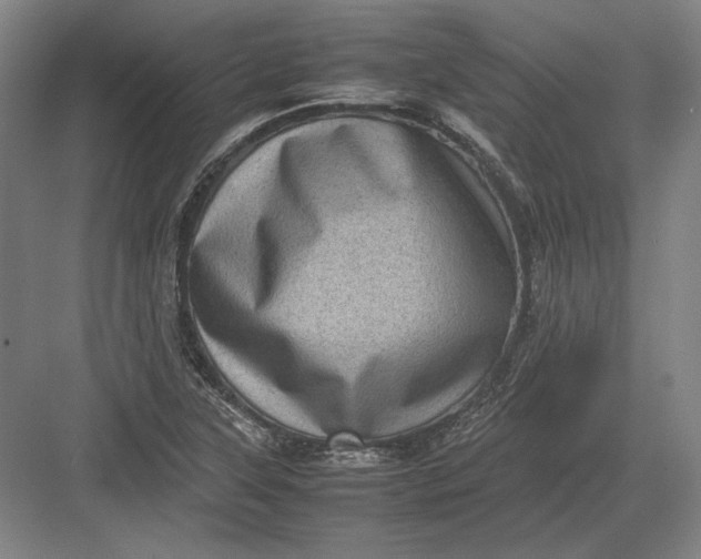 X0000082991315200702160013