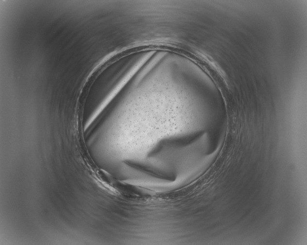 X0000082991316200702160013