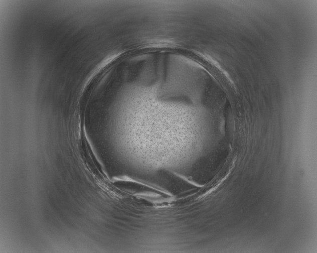 X0000082991317200702160013