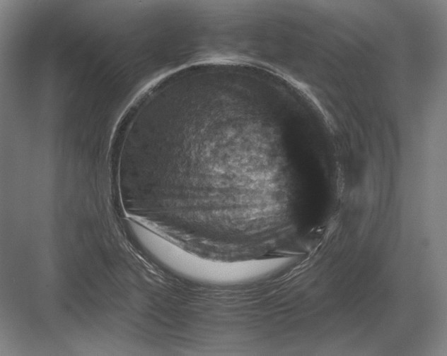 X0000082991319200702160013