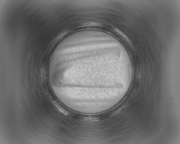 X0000082991321200702160013