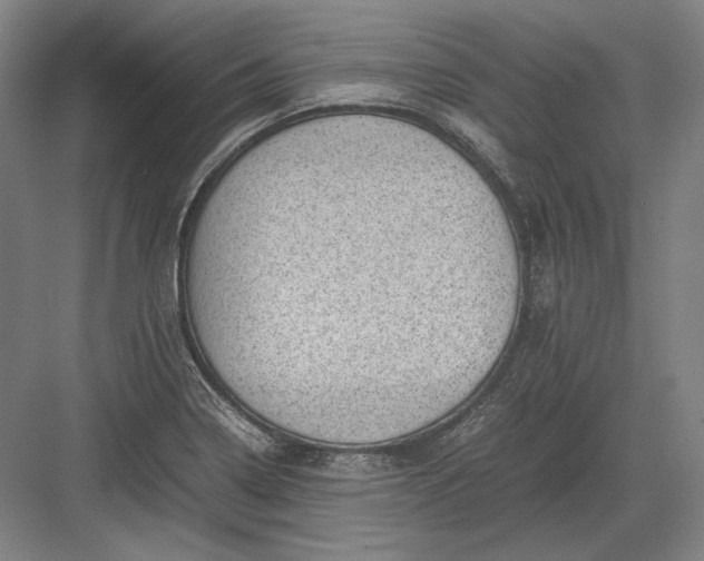 X0000082991322200702160013