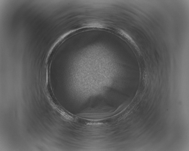 X0000082991323200702160013