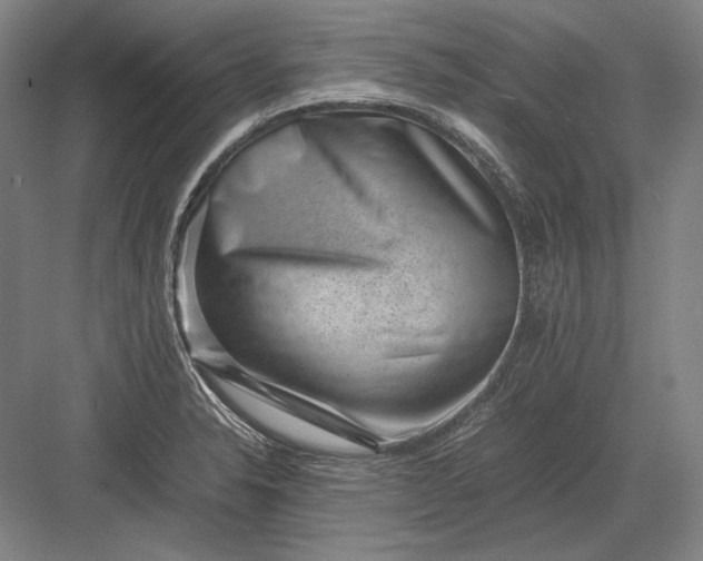 X0000082991326200702160013