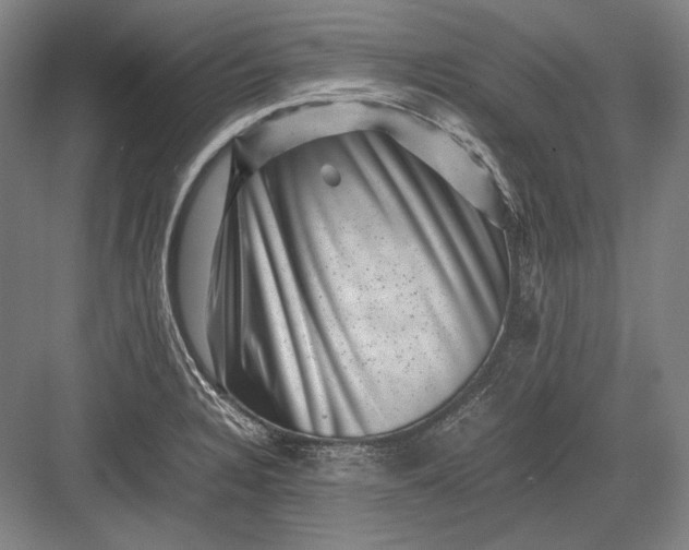 X0000082991328200702160013