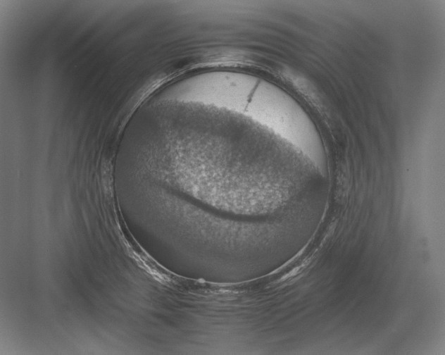 X0000082991329200702160013