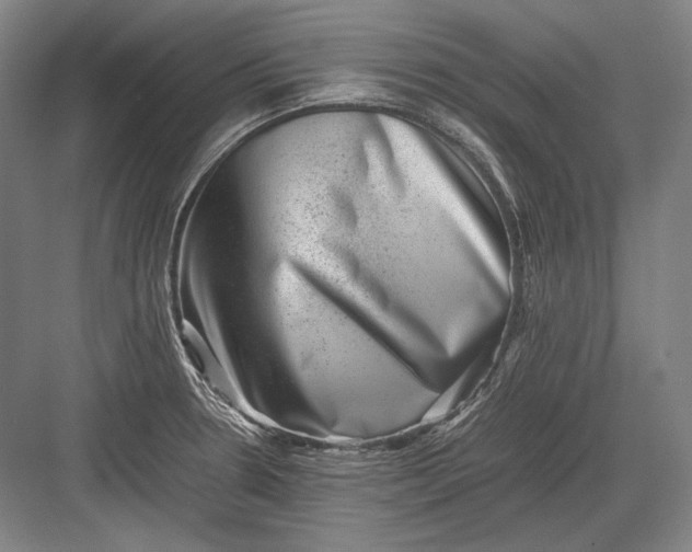 X0000082991330200702160013