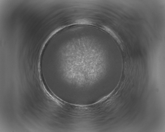 X0000082991331200702160013