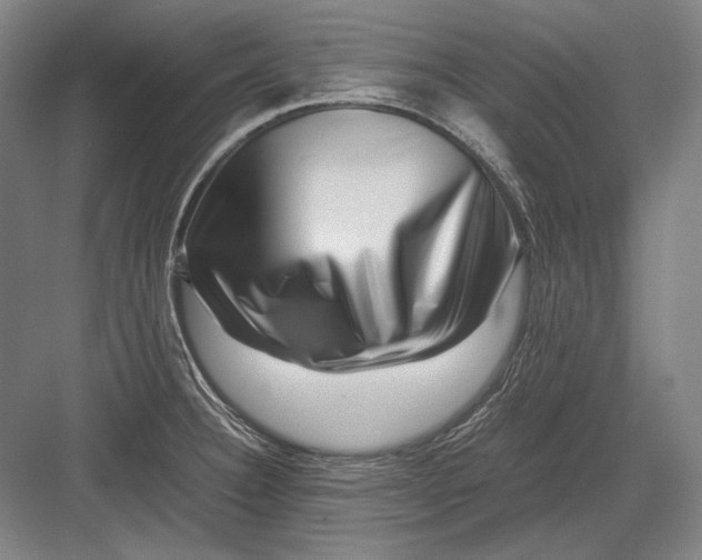 X0000082991332200702160013