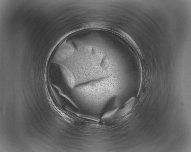 X0000082991339200702160014