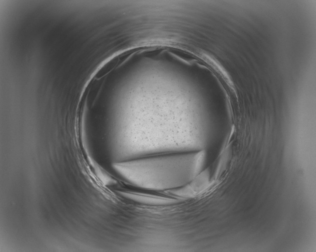 X0000082991340200702160014