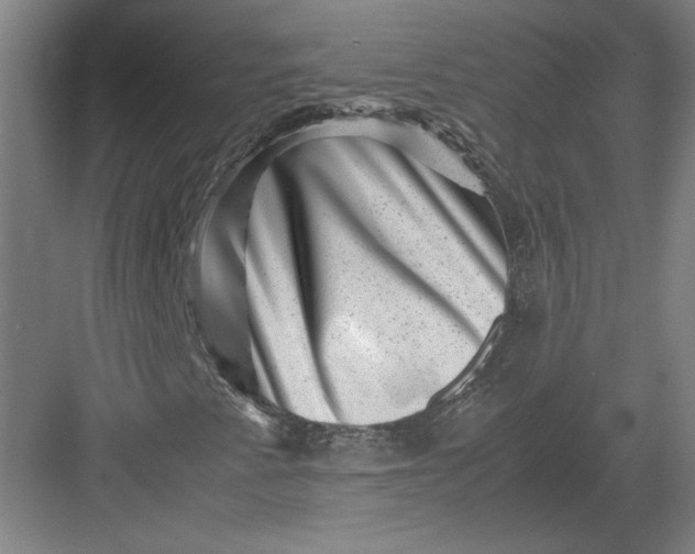 X0000082991345200702160013