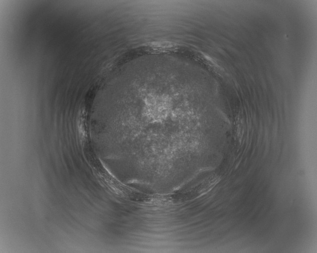 X0000082991346200702160013