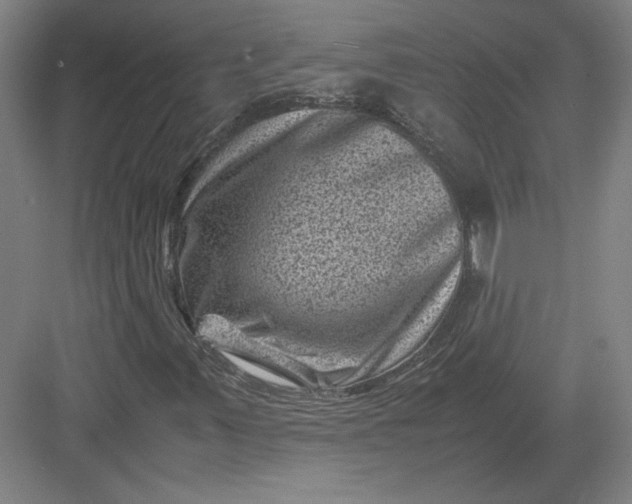 X0000082991347200702160013