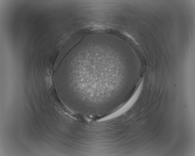 X0000082991348200702160013