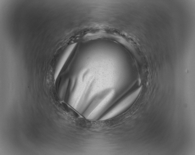 X0000082991349200702160013