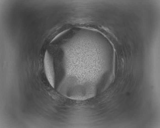 X0000082991350200702160013