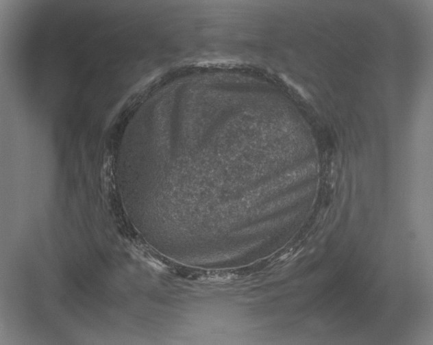 X0000082991351200702160013