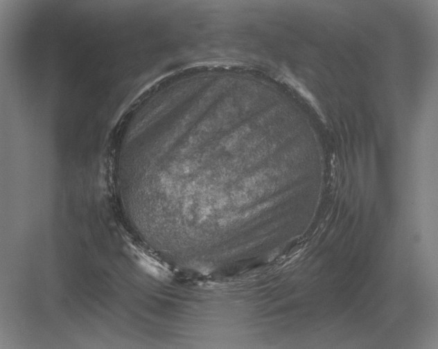 X0000082991352200702160013