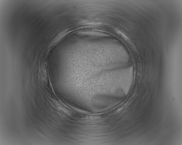 X0000082991354200702160013