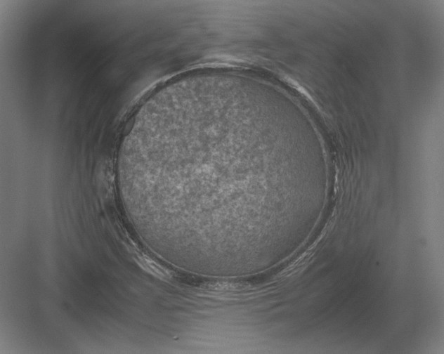 X0000082991355200702160013