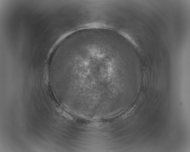 X0000082991358200702160013