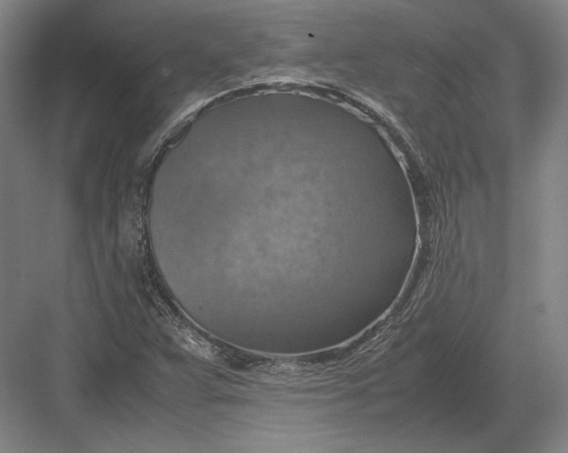 X0000082991359200702160013