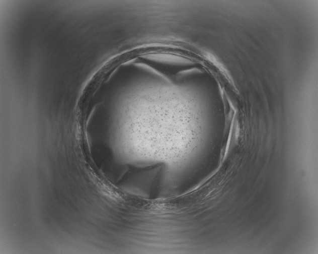 X0000082991360200702160013