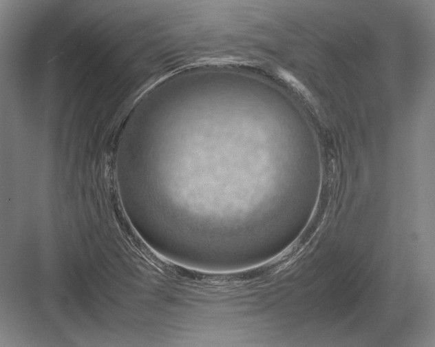 X0000082991361200702160013