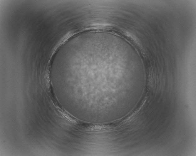 X0000082991362200702160013