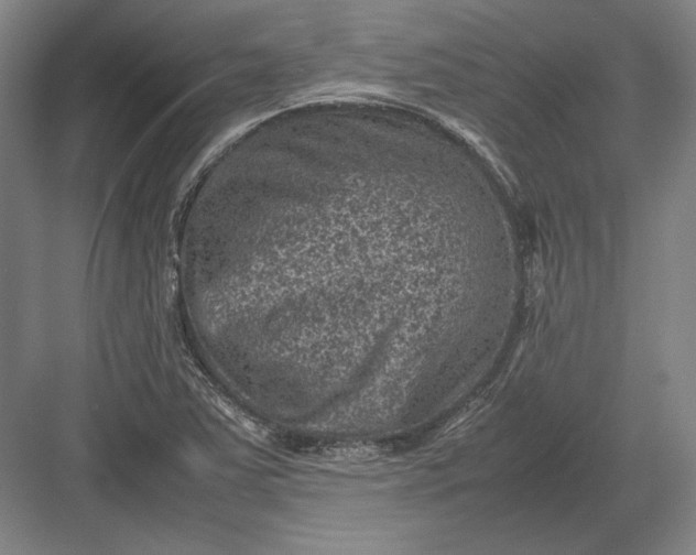 X0000082991363200702160013