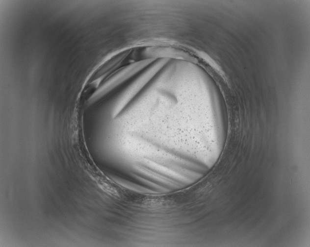 X0000082991364200702160013