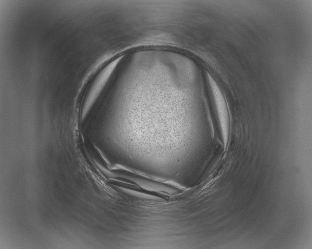 X0000082991366200702160013