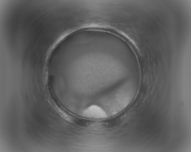 X0000082991367200702160012