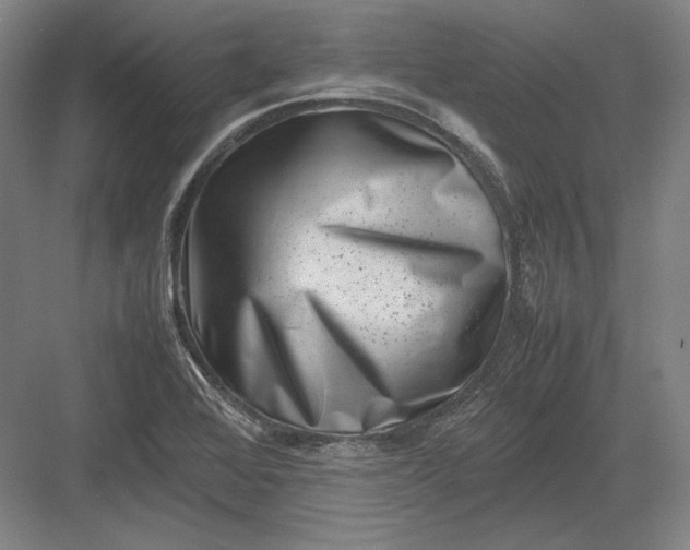 X0000082991368200702160012