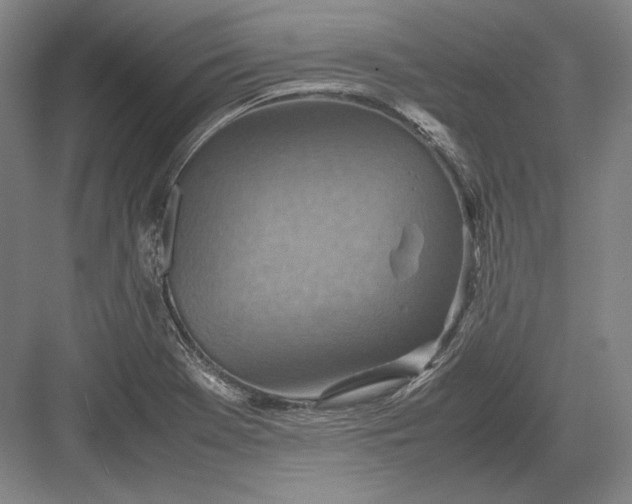 X0000082991369200702160012