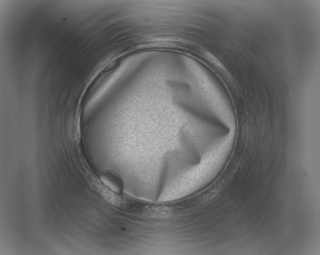 X0000082991370200702160012