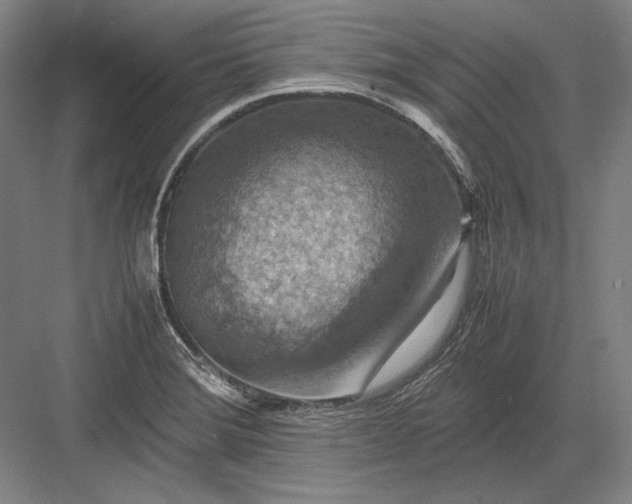 X0000082991372200702160012