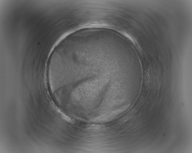 X0000082991374200702160012