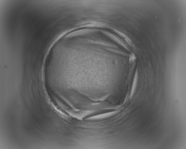 X0000082991375200702160012